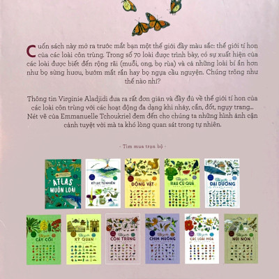 Bách Khoa Thư Cho Cả Nhà - Thế Giới Côn Trùng Bằng Tranh