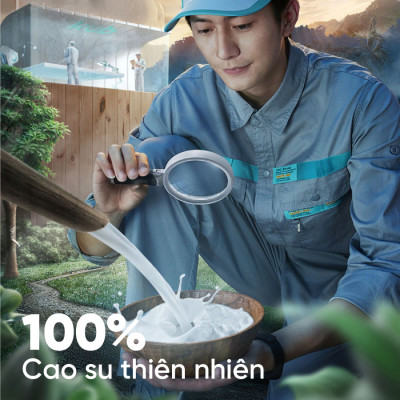 Nệm Cao Su Kim Cương 5 ZONE ALOE