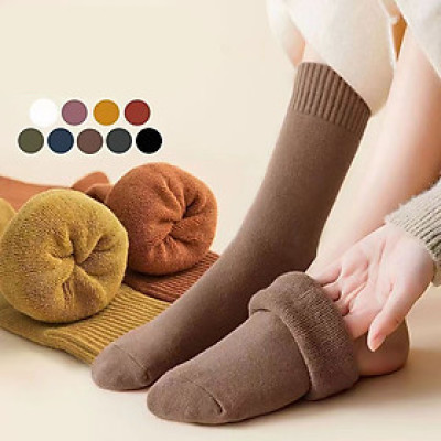 Set 5 đôi tất vớ Cotton lót lông giữ nhiệt cao cổ siêu ấm màu Pastel cho nữ