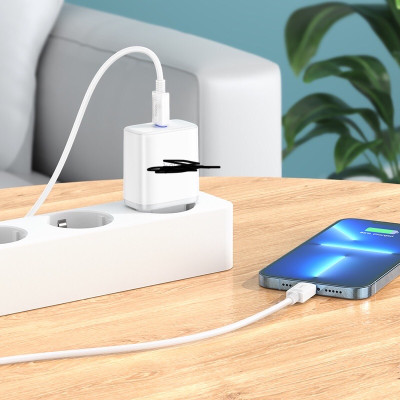 Sản phẩm phụ kiện điện thoại - Bộ sạc nhanh , cóc sạc nhanh C73  -12 W USB cao cấp ,  2,4A với 2 cổng sạc , dây dài 1m  , nhỏ gọn và tiện lợi  - Hàng nhập khẩu