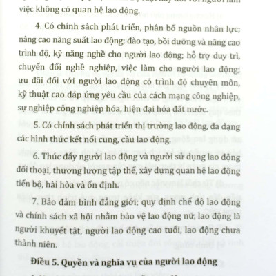 Bộ Luật Lao Động Của Nước Cộng Hòa Xã Hội Chủ Nghĩa Việt Nam (Áp Dụng Từ Ngày 01-01-2021)