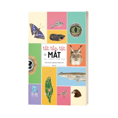 Tất Tần Tật Về Mắt - All About The Eye