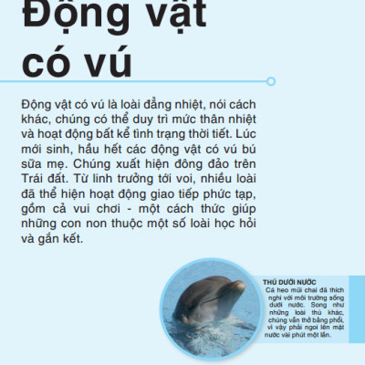 Tri Thức Trong Lòng Bàn Tay - Bách Khoa Thiếu Nhi - Động Vật (Bìa Cứng) (Tái Bản 2022)