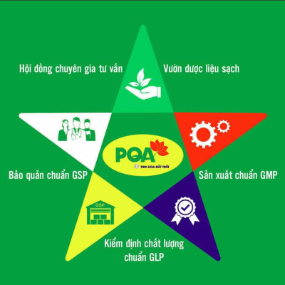 Hoạt Huyết Dưỡng Não PQA Thành Phần Từ Thiên Nhiên Giúp Tăng Cường Sự Hoạt Động Của Trí Não Hộp 50 Viên