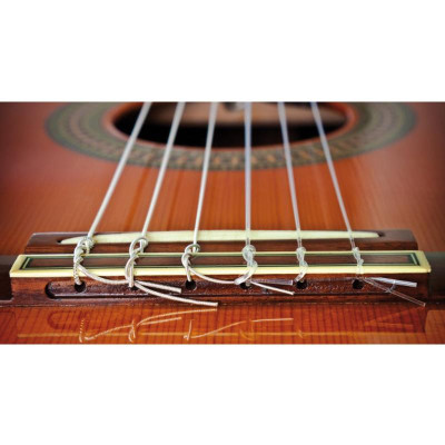 Dây đàn guitar classic D