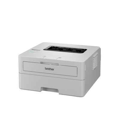 Máy in laser đơn năng trắng đen HL-B2180DW - Hàng chính hãng