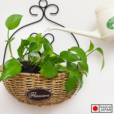 Bình tưới cây Nakaya Waterring Pot 850ml - Hàng nhập khẩu nội địa Nhật Bản