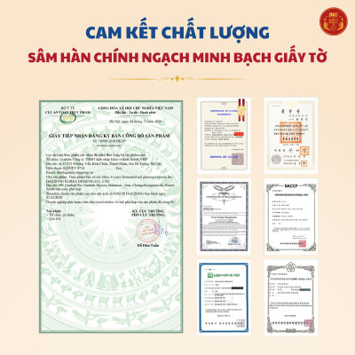 Cao hồng sâm lên men 100gram * 3 lọ Daedong Korea Ginseng 