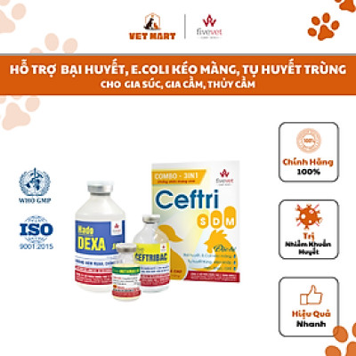Hỗ trợ trị bại huyết, E.coli kéo màng, tụ huyết trùng, viêm khớp, hen, khẹc, ORT - COMBO 3IN1 CEFTRI SDM_220ml