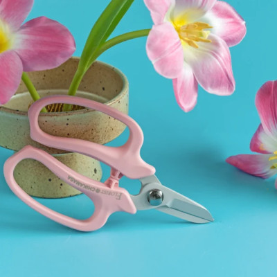 Kéo cắt hoa quả cao cấp Nhật Bản Chikamasa MF-9000P