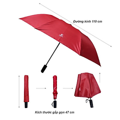 DÙ GẤP RANDO - Hàng chính hãng