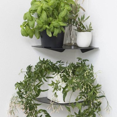 Kệ góc tường 24 (set 2)