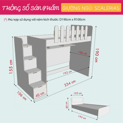 Giường tầng gỗ công nghiệp MDF được ưa chuộng nhất SMLIFE Scalerias