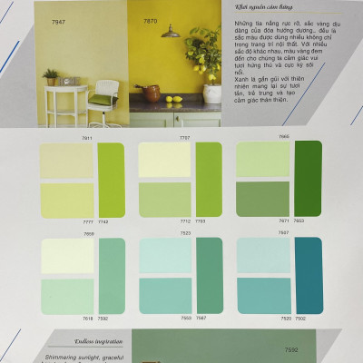 Sơn phào chỉ trong và ngoài nhà Toa 4 Seasons Tropic Shield màu C- 8766 _1L