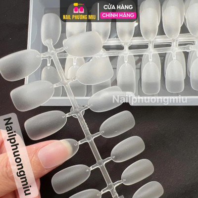 Hộp 240 Móng Up Ngắn Tròn Hạt Na, Vuông Ngắn Làm Nail, Bầu Dẻo Ôm Form Cao Cấp, Nhẹ Bền Đẹp, Móng Úp Dễ Gắn, Làm Móng Đẹp Tự Nhiên