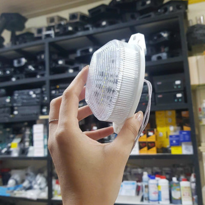 BÓNG CHỚP MÀU - CHỚP CÚ NHÀ YẾN