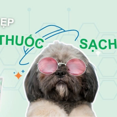 BOSSEN - Derma Herbal for Dog Kem Bôi Thảo Dược cho Chó bị Nấm Da - Tuýp 20g