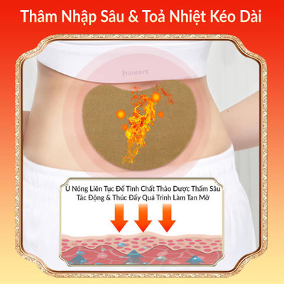 Hộp 12 Miếng Dán Ngải Cứu Tan Mỡ Eo Bụng Thon Gọn Detox Thải Độc Cơ Thể Hiệu Quả Tiện Lợi