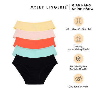 Combo 5 Quần Lót Nữ Modal Co Giãn, Thoải Mái BigSize Miley Lingerie [2XL-5XL]