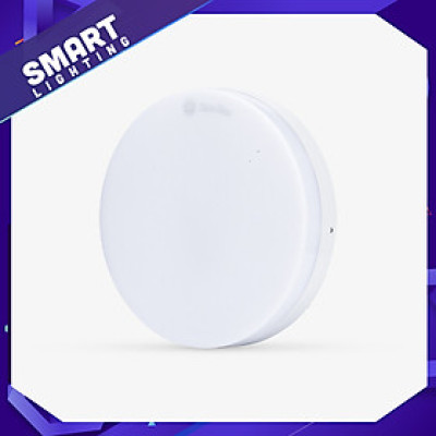 Đèn LED ốp trần Rạng Đông model LN12 300/30W