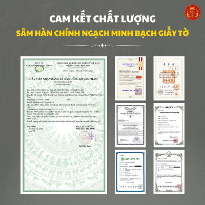 Hắc sâm cao cấp Premium 7mg/g (10ml*30 stick) – Daedong