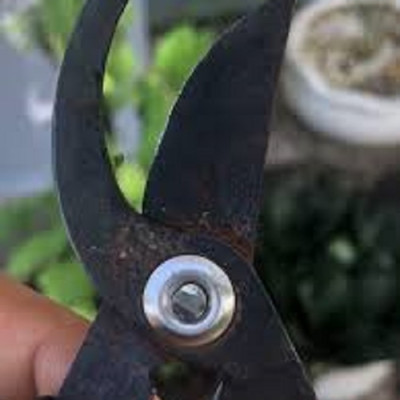 Kéo chuyên dụng cắt tỉa cây cảnh ( Cắt/tỉa cành lá bị hư hỏng ) nhỏ gọn dễ dùng - Hàng nội địa Nhật Bản. ( Giao màu ngẫu nhiên )