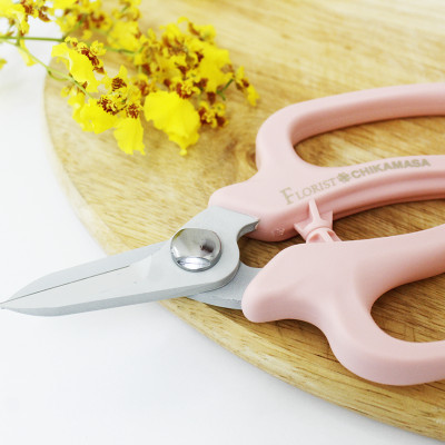 Kéo cắt hoa quả cao cấp Nhật Bản Chikamasa MF-9000P