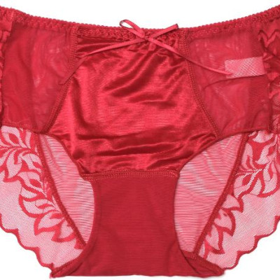 Bộ 5 Quần Lót Ren Lưới - Màu ngẫu nhiên (Freesize)
