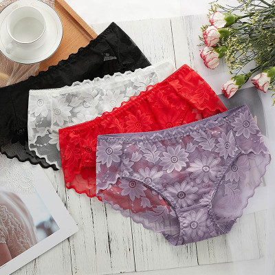COMBO 5 QUẦN BÔNG ÉP HOA CÚC SEXY 817