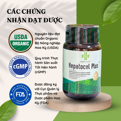 Thực phẩm bảo vệ sức khỏe Tăng cường chức năng gan Hepatocel Plus Teresa Herbs (Lọ 90 viên)