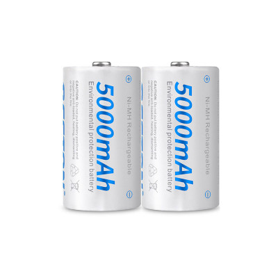 Pin Sạc Cỡ C/D 4000/5000mAh Và Sạc BST-C821BW