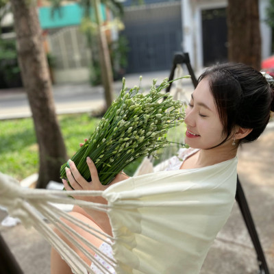 BỘ XÍCH ĐU VIP CANVAS