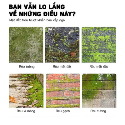 Dung Dịch  Diệt Rong Rêu – Làm Sạch Tường, Mái Nhà, Sân Vườn Nhanh Chóng Túi 500gram