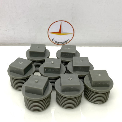 Nắp bịt ren ngoài 34 nhựa PVC Bình Minh ( 10 cái )