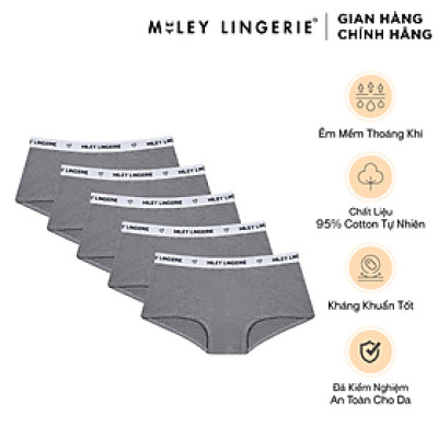 Combo 5 Quần Lót Nữ Cotton Thiên Nhiên BeingMe Miley Lingerie - Màu Xám Nhạt