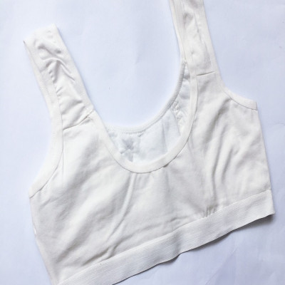 Combo 2 áo lá học sinh cotton đơn giản ALHS06 ( trắng )