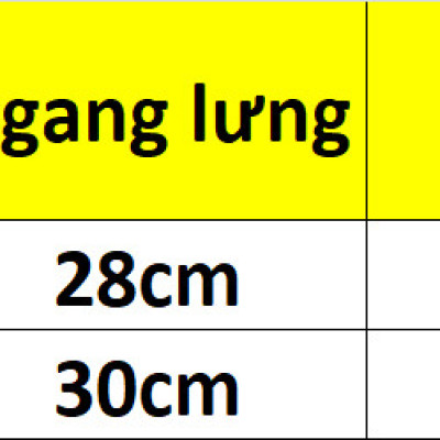 COMBO 5 QUẦN REN MỀM LƯNG CAO 258