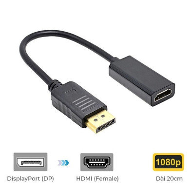 Cáp chuyển Displayport to VGA 20415 - Hàng Nhập Khẩu
