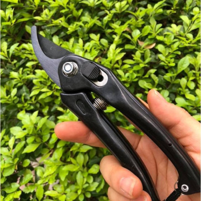 Kéo Cắt Tỉa Cây Cảnh
