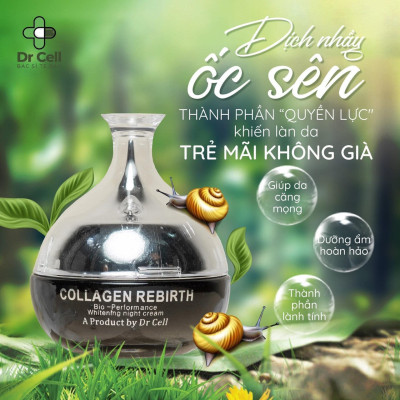 Kem Đêm Collagen Rebirth DR CELL 30g