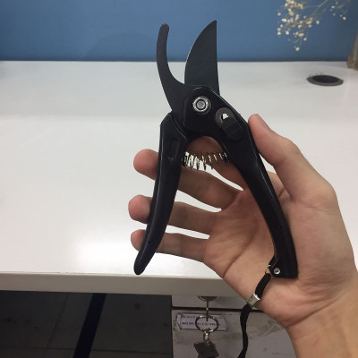 Kéo Cắt Tỉa Cây Cảnh