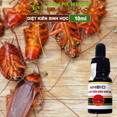 Chế Phẩm Diệt Kiến Gián Sinh Học Anbio Sử Dụng An Toàn Chai 10 ml