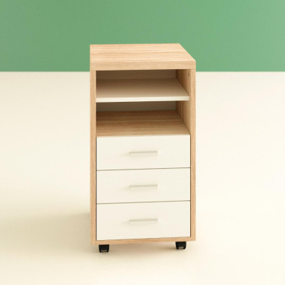 Tủ để tài liệu gỗ công nghiệp MDF chắc chắn SMLIFE Fidel