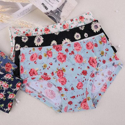 Combo 10 Quần Lót Đúc Điều Hòa Thông Thoáng HM11