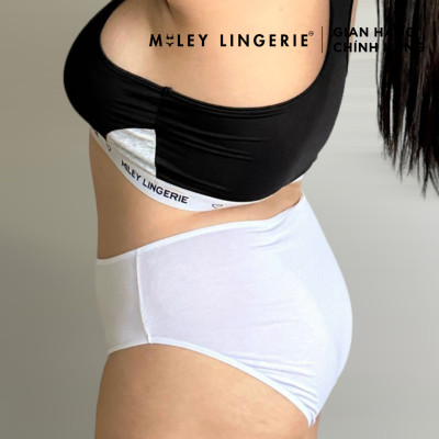 Combo 5 Quần Lót Nữ Modal Co Giãn, Thoải Mái BigSize Miley Lingerie [2XL-5XL]