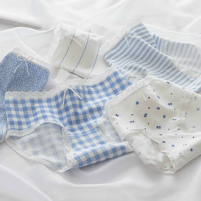 Combo 5 quần lót nữ cotton dễ thương Freesize kẻ xanh da trời (giao màu ngẫu nhiên)