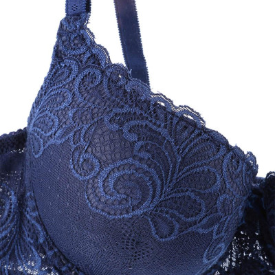 Áo Ngực Cao Cấp Mignon Ren Mút Dày AN074