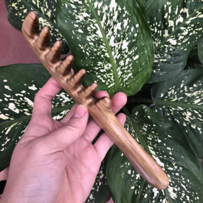 Lược răng thưa massage đầu bằng gỗ Thơm/ giúp lưu thông máui (Size: XL- 20cm) - COH259 