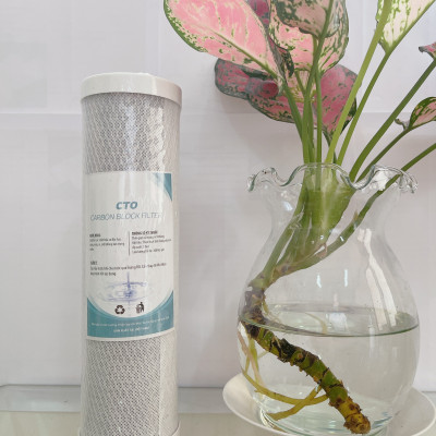 LÕI LỌC THAN HOẠT TÍNH DẠNG NÉN ( CTO 10 INCH)  - HÀNG CHÍNH HÃNG 