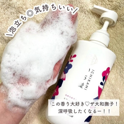 Combo Dầu Gội Và Dầu Xả Kracie Ichikami Dưỡng Tóc Suôn Mượt (480ML)